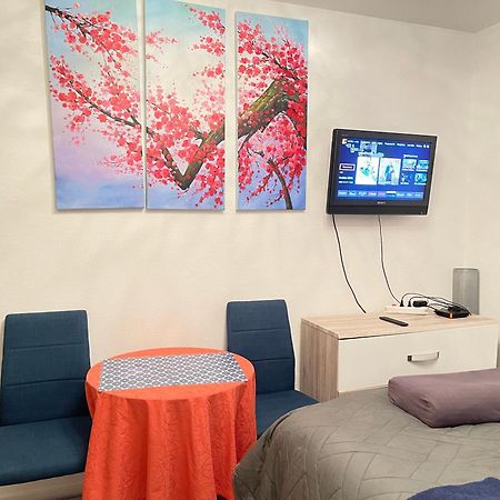 Top Studio Full Optional Saint Louis Vicino Stazione Saint Louis 68300 France Buitenkant foto