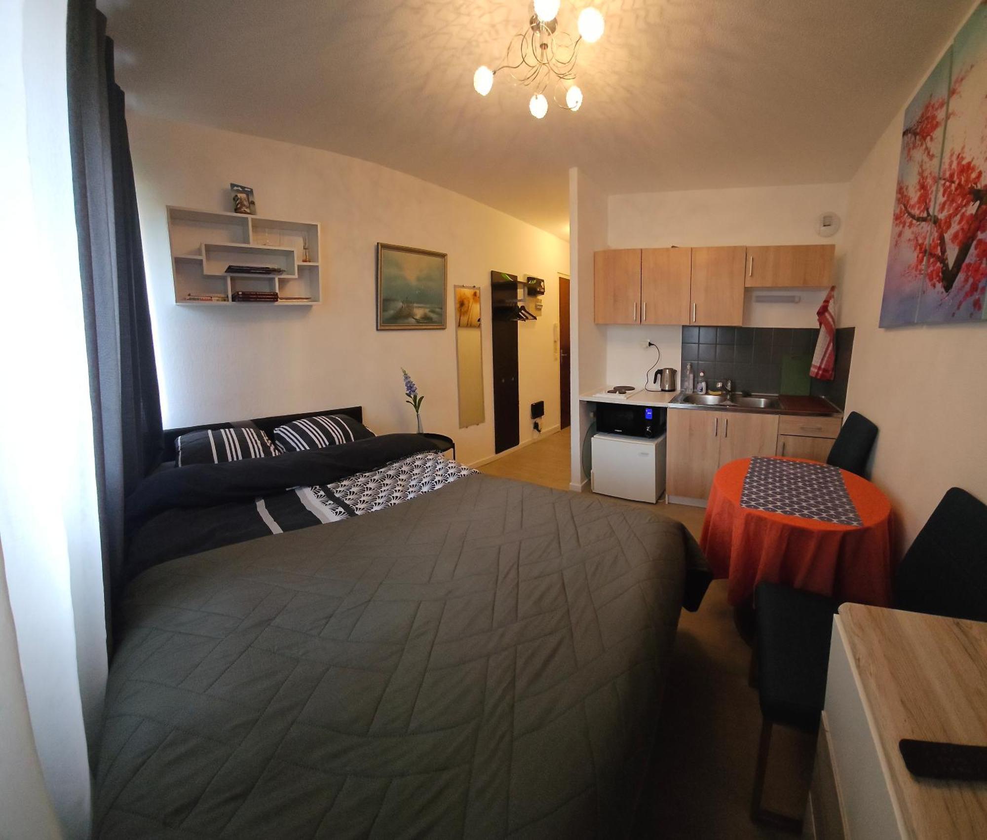 Top Studio Full Optional Saint Louis Vicino Stazione Saint Louis 68300 France Buitenkant foto