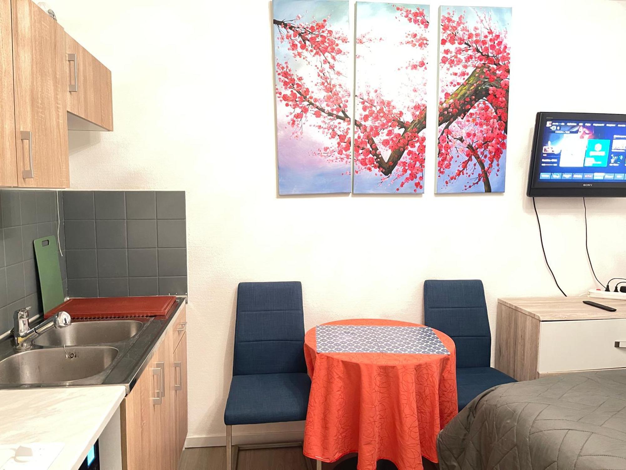 Top Studio Full Optional Saint Louis Vicino Stazione Saint Louis 68300 France Buitenkant foto