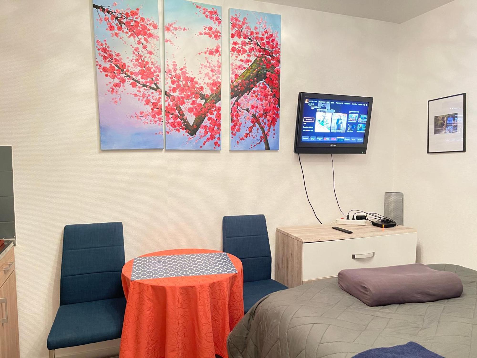Top Studio Full Optional Saint Louis Vicino Stazione Saint Louis 68300 France Buitenkant foto