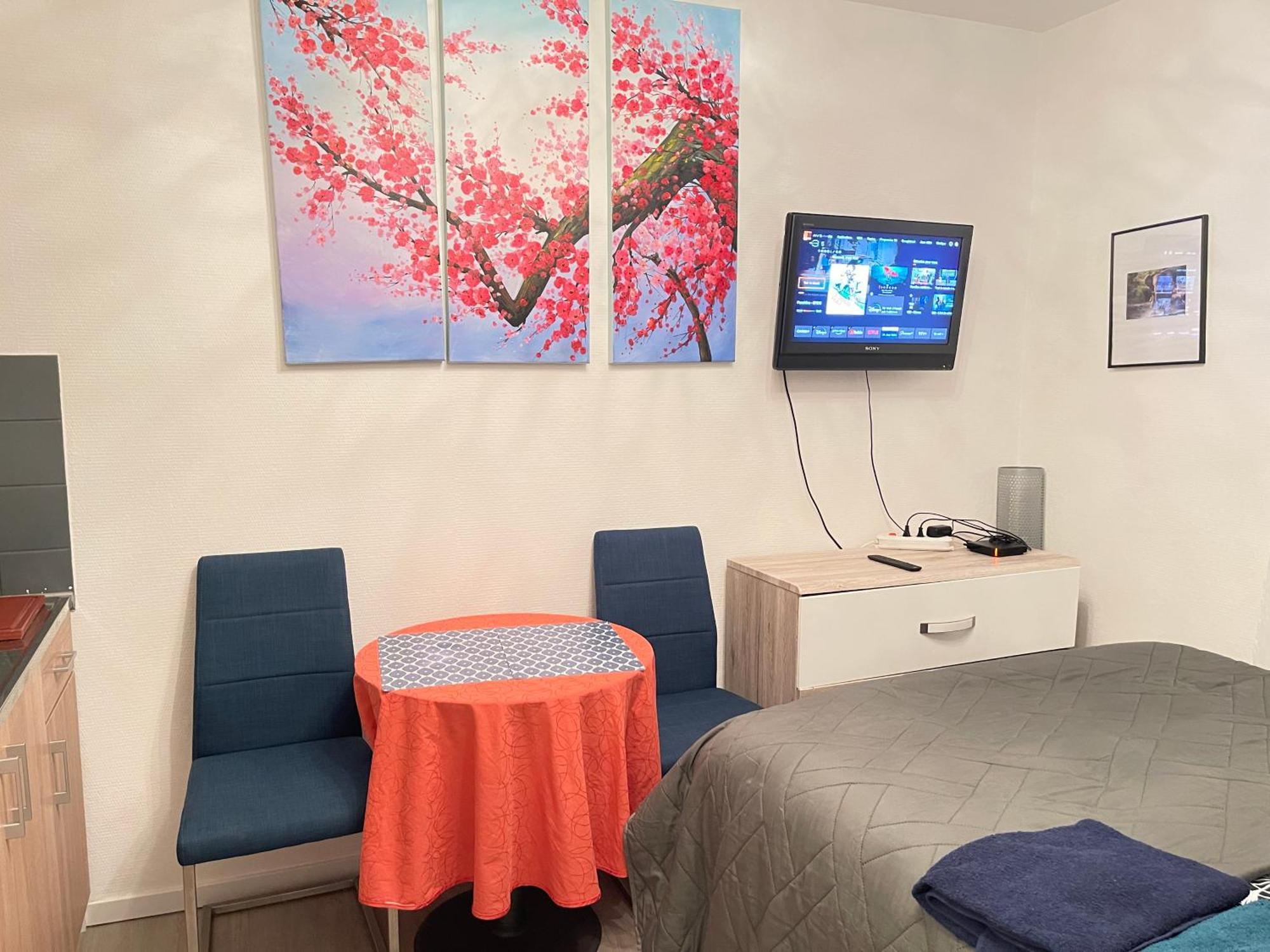 Top Studio Full Optional Saint Louis Vicino Stazione Saint Louis 68300 France Buitenkant foto